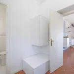 Redinoce * Bagno-Sprizze